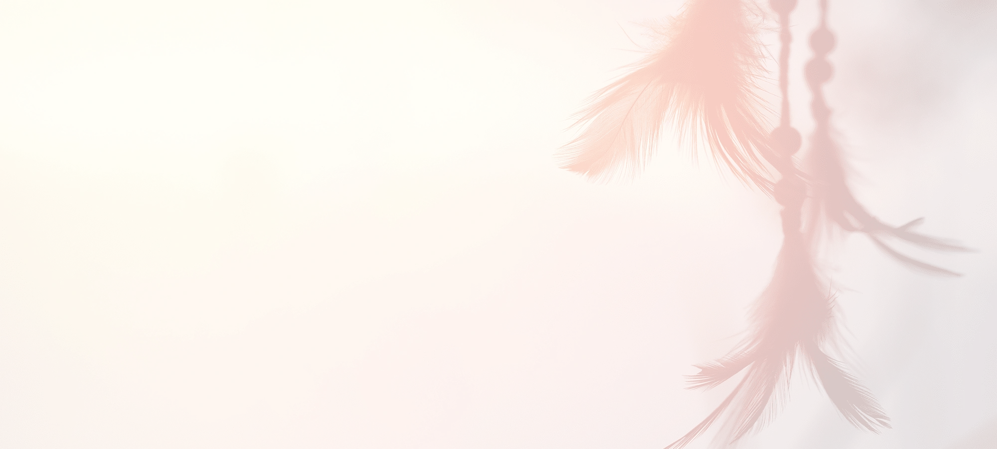 Dreamcatcher with feathers on a pink background.