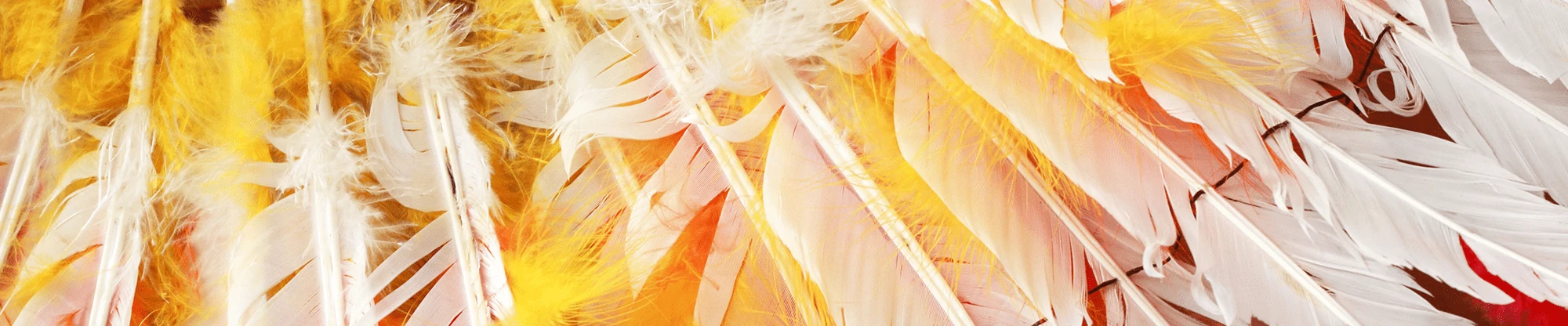 A feather on sequence.